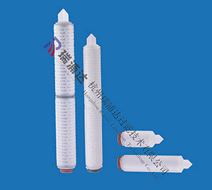 聚醚砜折叠滤芯（RFPS）系列