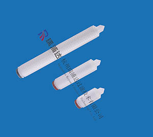 亲水性聚四氟乙烯折叠筒式滤芯（RFHPT）系列